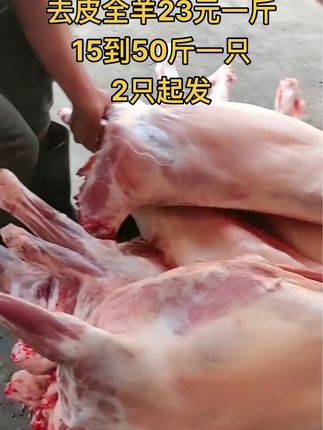 去皮全羊23元一斤，15到50斤一只，2只起发#全羊 #去皮全羊 #牛羊肉批发 #支持全国发货