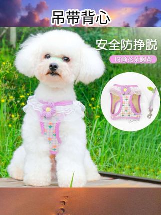 #吊带背心 mookipet宠物猫咪狗狗小型犬吊带背心薄款约克夏马尔济斯夏天衣服#小背心#好物推荐#宠物用品#好物种草