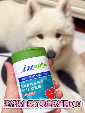 麦德氏大品牌辅酶Q10,狗子吃得放心,赶紧给你家毛孩子安排上#新手养狗 #萌宠好物 #辅酶q10 #麦德氏 #科学养宠攻略