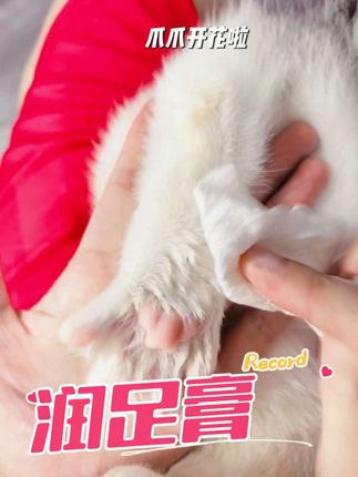夏天遛达要用,秋冬干燥更要用,猫猫狗狗爪爪滋润才能活蹦乱跳#宠物润足膏 #珀克鲁 #萌宠好物 #养猫经验分享 #养宠进阶指南