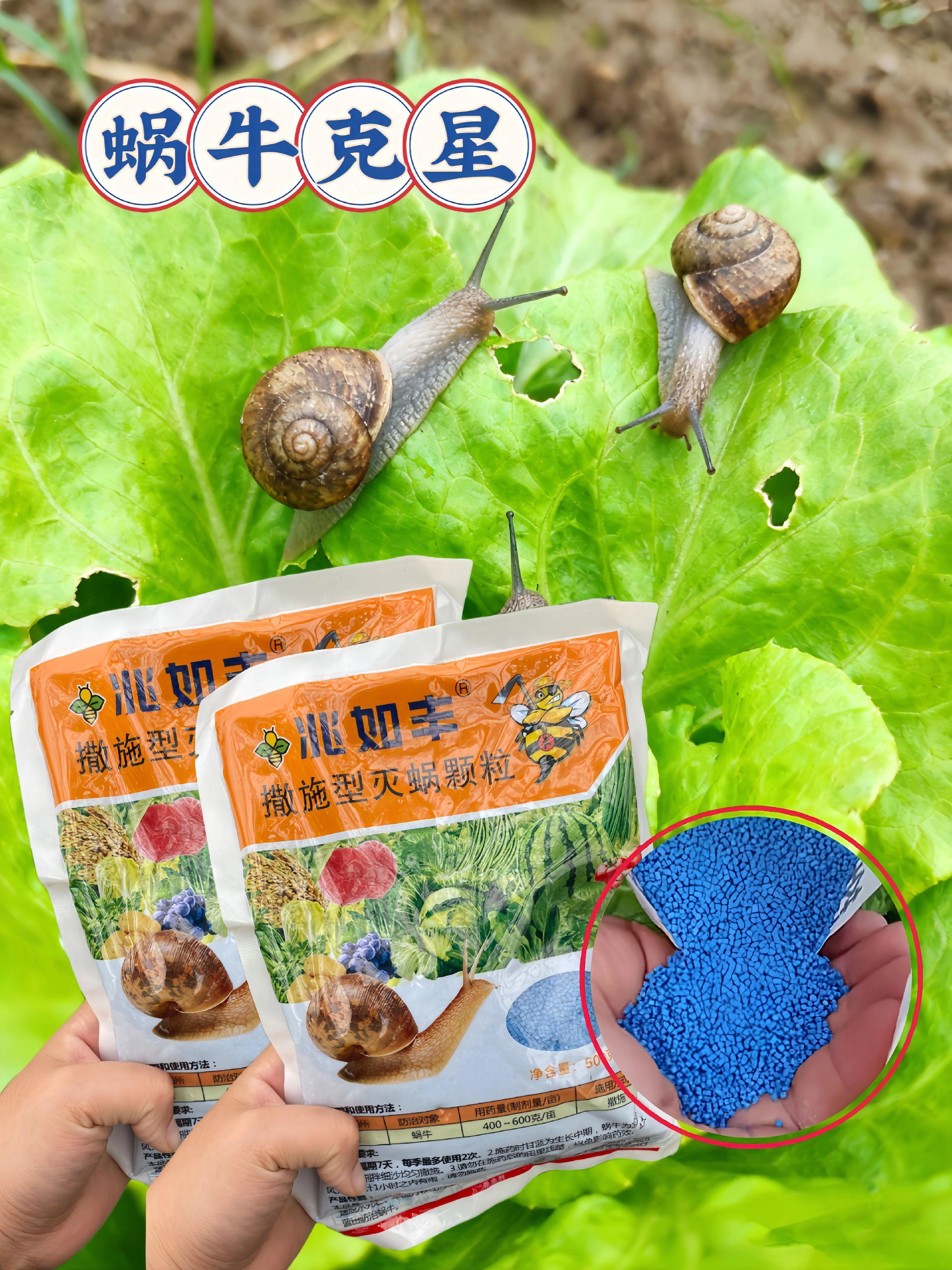 蜗牛克星。灭蜗牛克星,灭蜗颗粒。#蜗牛克星#灭蜗牛颗粒#蜗牛防治