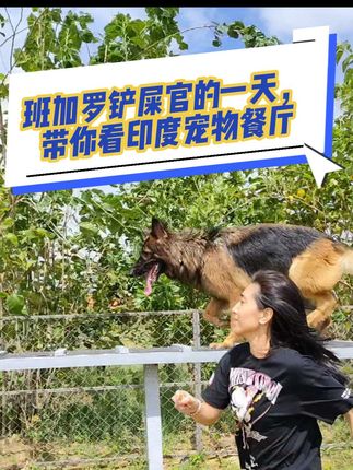 #最爱德牧 #印度##萌犬 #萌宠成长记