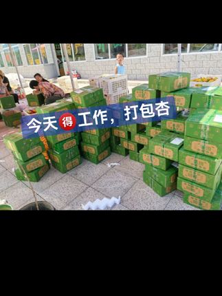 #新鲜采摘 #强烈推荐 #优质农产品 #应季水果 #快来一起尝个鲜