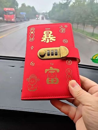 离过年还有几个月,不知道我能存满几本 2025新款密码锁攒钱现金存钱本理财百元钞票人民币纸币钱币收藏袋收纳存单儿童存钱神器#现金存钱本 #存钱本 #密码锁存钱本 #存钱 @DOU+小助手 @巨量千川