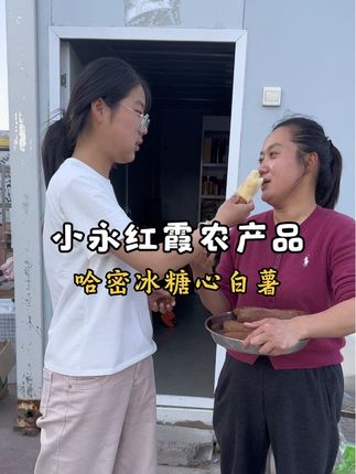 只要吃一次都忘不了的冰糖心白薯,谁吃谁知道#软糯香甜 #我的乡村生活 #强烈推荐 #家乡特色 #哈密冰糖心白薯