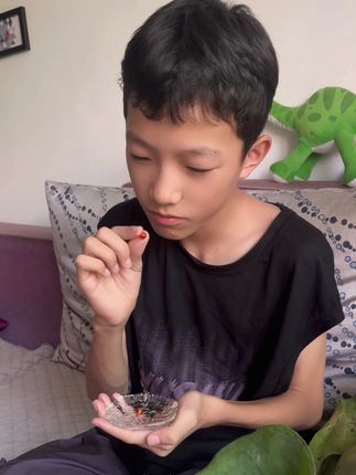 妈妈们叶黄素别买贵了啊,欧奇密码家的配料贼干净,放心给宝宝吃#母婴好物 #叶黄素 #宝妈推荐 #欧奇密码