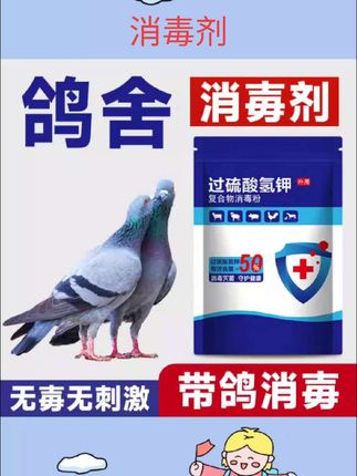 鸽子专用消毒液过硫酸氢钾消毒剂鸽舍消毒鸽子笼消毒液养殖场专用#消毒剂 #鸽子消毒 #宠物用品