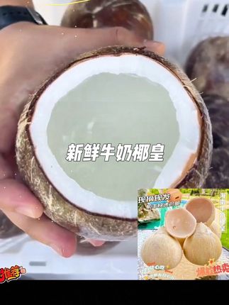 【海南顺丰直发】海南奶椰 /椰皇/牛奶椰/椰青/新鲜海南椰子 #椰皇 #牛奶椰皇 #椰子 #水果 #快来一起尝个鲜