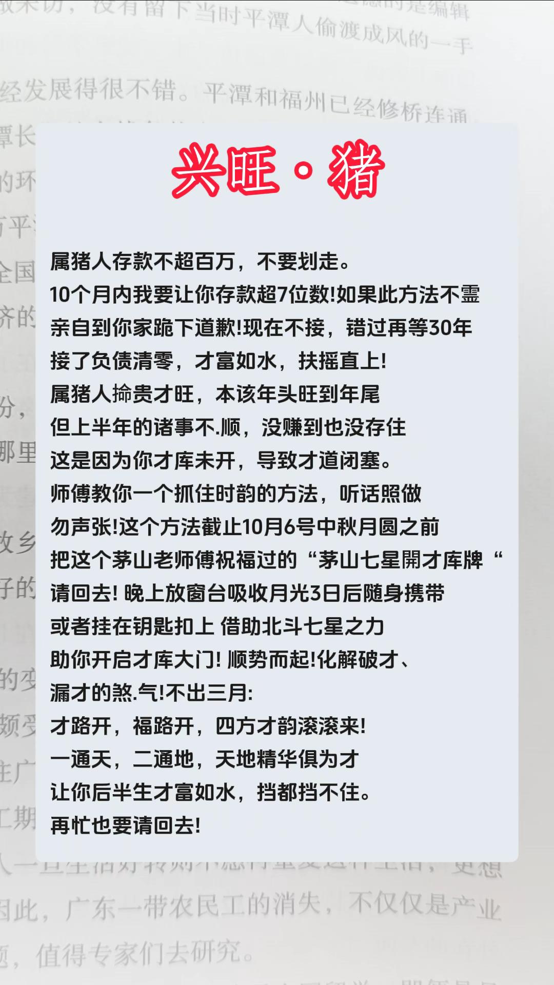 #猪 #属猪 #生肖猪