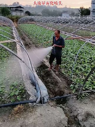 浇花浇莱就用这个大容量多个雾化喷头,水量大,喷洒距离远,出水均匀细腻不伤幼苗,还能调节大小,真是农民浇花浇菜的好帮手。#大流量雾化喷头#多头雾化喷头#雾化喷头#浇花浇菜神器@DOU+小助手 @巨量千川