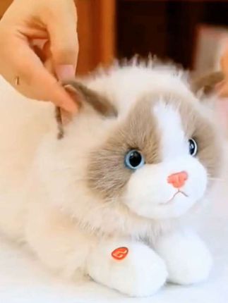 #可爱会叫的仿真布偶猫咪#小奶猫 #萌宠猫咪 #谁能拒绝得了这么可爱的小猫咪呢 #也太可爱了吧