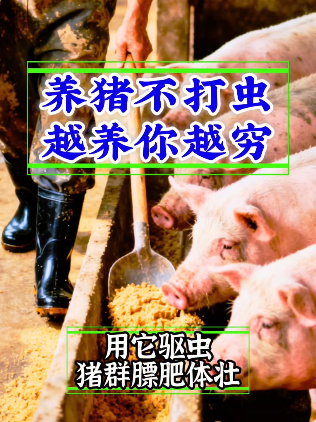 #猪牛羊猫狗通用#猪牛羊养殖#科学养殖#养殖场专用 #养殖场#