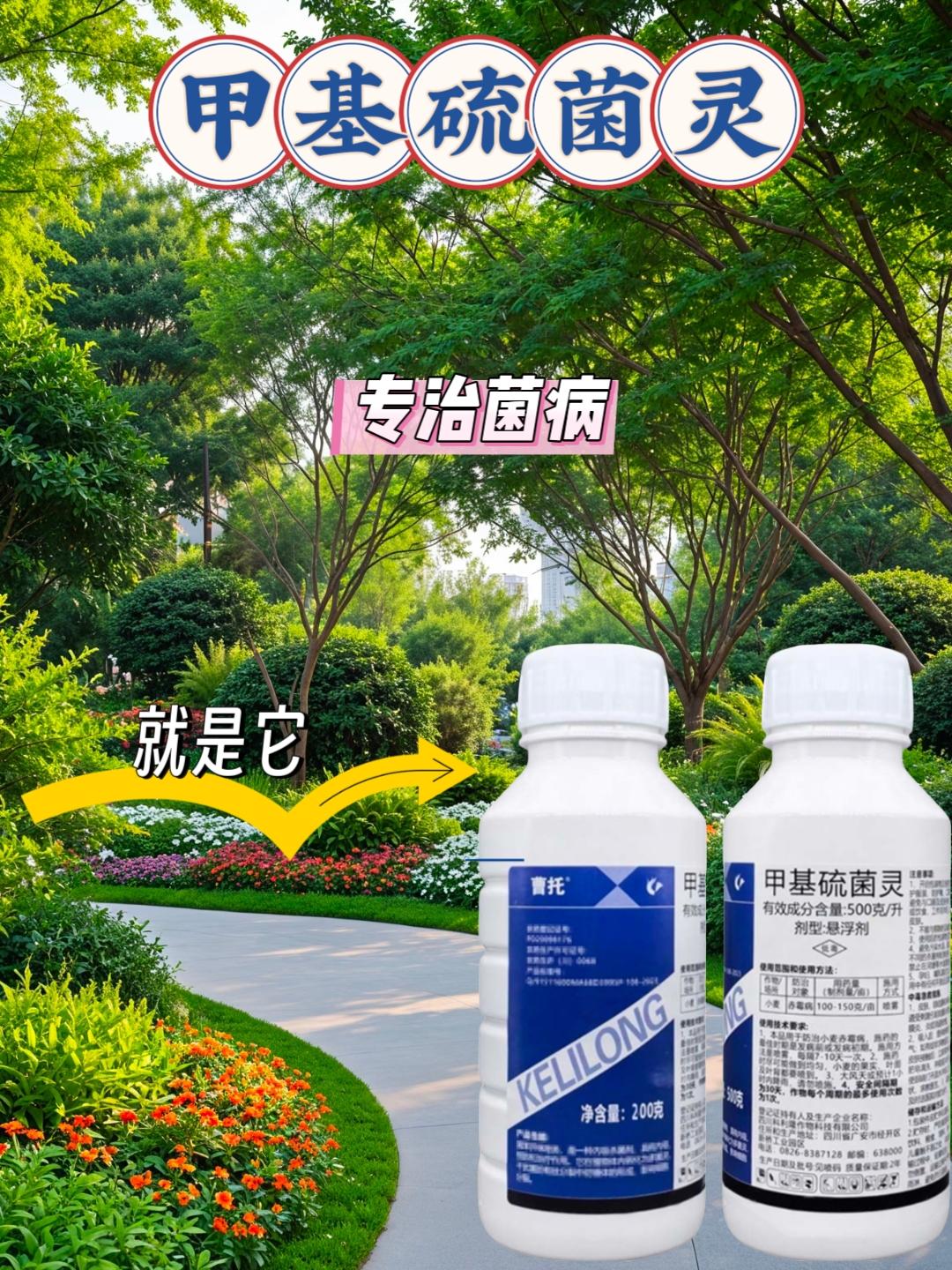 #甲基硫菌灵 #杀菌剂 #种植小技巧 #农业知识 #新农人计划