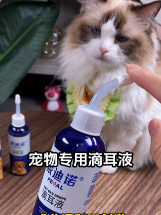 猫咪耳螨是不会自愈的,可以定期用这种滴耳液帮助毛孩子清洁耳朵~#宠物滴耳液 #猫咪耳螨 #科学养宠攻略 #哆咪是只猫