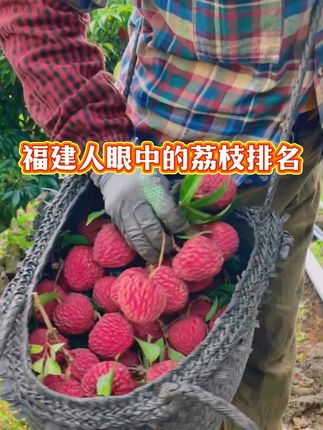 中国荔枝之乡,福建人眼中的荔枝排名#生活服务热点中心 #中国荔枝之乡 #荔枝排名 #荔枝段位