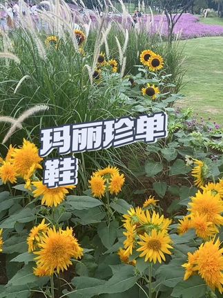 #玛丽珍女鞋 #鞋子 #好穿又好搭 #时尚百搭#好鞋推荐