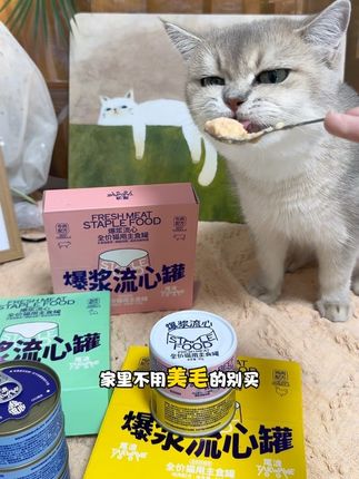 尾浪爆浆流心罐 四种口味滑嫩口感适口性好 #尾浪#尾浪猫粮#尾浪罐头#罐头 #宠物食品