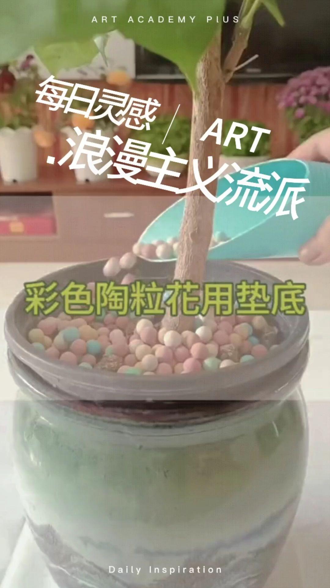 彩色陶粒花用垫底铺面造景小彩蛋盆栽透气水培花卉营养土种花陶土#种植小技巧 #陶粒 #彩色陶粒 #彩色陶粒铺面 #植物造景微景观