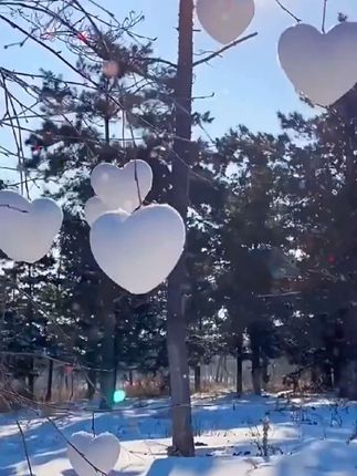 #冬天的雪 超大号新款儿童夹雪神器玩雪雪球夹堆雪人模具鸭子打雪仗玩具 #雪夹玩具 #雪夹 #雪夹玩具