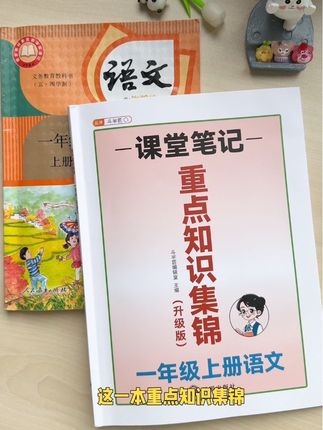#一年级 语文要掌握的重点知识,这本书都总结好了,无论课内重点还是课外拓展都很全面!#复习 #预习 #知识锦集 #知识点总结