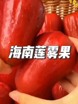 不爱喝水的宝子一定要多吃,这个海南黑金刚莲雾果,果肉鲜嫩,脆甜多汁,一口爆汁真的巨好吃!全是果农现摘现发#黑金刚莲雾果#口感特别好#一口爆汁#脆甜多汁#新鲜应季水果
