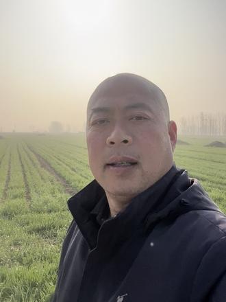 忆儿时踏青折柳
又到春风拂岸时,遥思年少踏青姿。
田头草软追蝶影,堤畔枝柔折柳丝。
削笛轻吹无曲调,欢声漫绕有童趣。
如今鬓染风尘色,唯有乡音入梦迟。