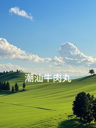 【到手4斤】正宗手打潮汕牛肉丸牛筋丸 500g/包 四包火锅烧烤食材#好吃不贵经济实惠 #点击小黄车直接购买
