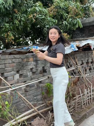 院子里的桂圆熟啦!#我的乡村生活