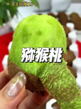 猕猴桃大丰收了,香甜多汁,皮薄肉厚~8.8元给咱们发15枚,现在买到就是赚到!#猕猴桃 #徐香猕猴桃 #绿心猕猴桃 #当季水果 #新鲜采摘