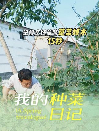 #抖音玩法达人中心 #我的乡村生活 #抖音新农人 #强烈推荐 #新农人计划