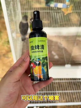 夏天到了,寄生虫高发期,一点要给小鹦鹉用这款驱虫喷雾#宠物鸟 #鹦鹉除虫#夏天鹦鹉 #鹦鹉啄羽