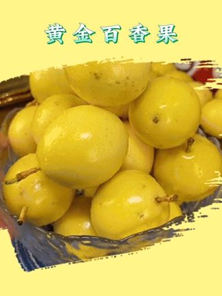 钦蜜9号百香果,9.9发17枚,抢到就是赚到#黄金百香果 #快来一起尝个鲜 #水果自由