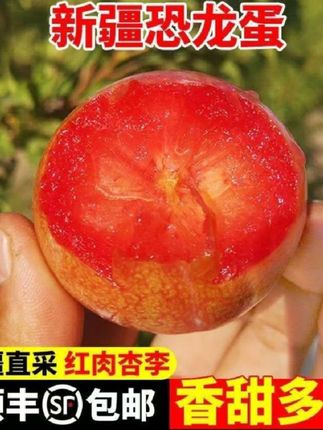 《顺丰空运》新疆味帝恐龙蛋杏李产地直发戈壁滩的宠儿80-130克大果#质量好#好产品分享