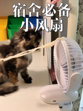 宿舍小风扇 这个风扇真的性价比超高,耐用还可以自动摇头还带着定时功能,太强啦~大学用了很久很想给你们#学生党必备 #学生宿舍 #宿舍小技巧 #大学宿舍 #强烈推荐