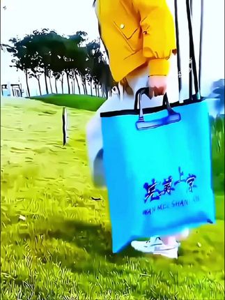 #创作灵感 #【粉丝福利】钓鱼专用多功能EVA鱼护包加厚防水手提袋可折叠收纳款#渔具用品 #钓鱼