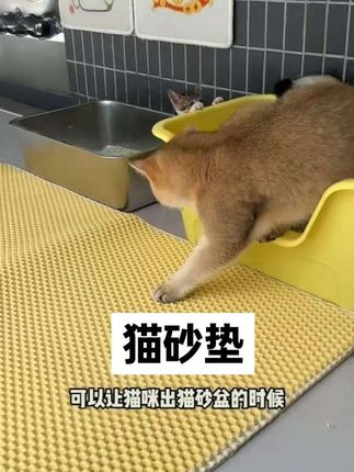 #猫砂垫 #猫砂垫测评#猫砂垫推荐#猫砂垫双层过滤 #猫砂垫子