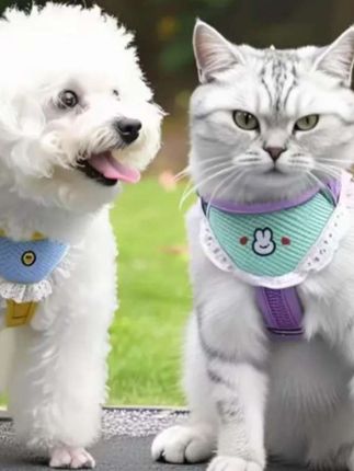 牵引绳真的太可爱了#萌宠 #萌宠好物 #萌宠日常记录#可调节萌宠好物