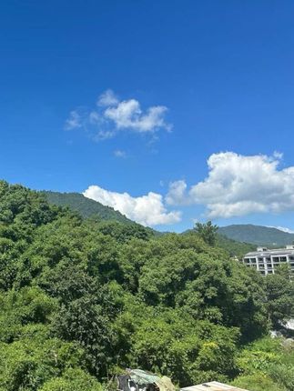 #好物推荐🔥 #好物测评 #种草好物 #好物畅买不打烊 #好物安利