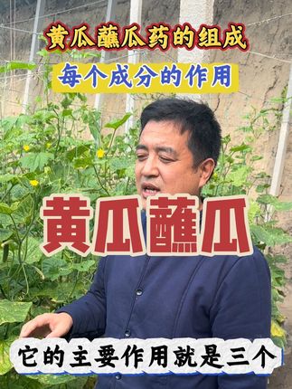 黄瓜蘸瓜药怎么配! 我都给你配好了!#蔬菜种植 #黄瓜种植