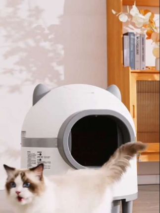 #有了这个全自动猫砂盆经常出门的朋友再也不用担心宠物猫没人铲屎了#可爱萌宠 #萌宠动物