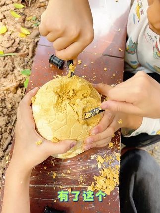 外面挖一个小恐龙蛋就要六七十 自己在家能玩,简直不要太划算啊!!#考古盲盒 #恐龙蛋玩具 #动手能力培养 #好物推荐🔥 #儿童益智