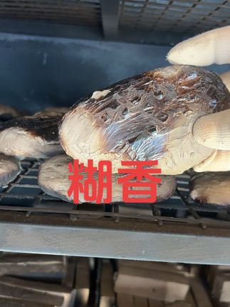 #原创视频 #实拍