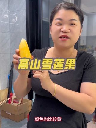 云南高山雪莲果现挖现发,低糖吃着没负担,清脆清甜,煲汤或者当水果吃都好吃😋#云南高山雪莲果