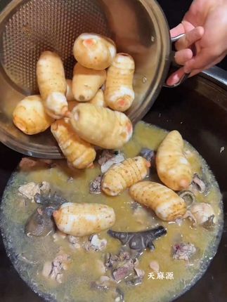#入秋喝什么汤#新鲜天麻的正确吃法 #原生态食材 #天麻鱼头汤 #煲靓汤分享 冬吃萝卜夏吃姜,不如来碗天麻汤!都知道天麻用来煲鸡汤煲排骨汤都很好吃的。汤香味美有营养,喜欢吃的可以家里多囤点。