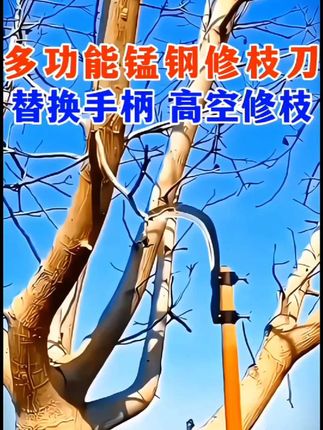 锰钢高空修枝刀 用于修枝高空槟榔 修枝树枝等都非常好用…#服务三农支持三农 #高性能实用工具 #我的乡村生活@巨量千川 @巨量本地推 #强烈推荐 @#上热门