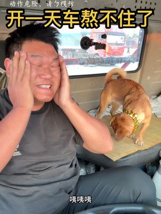 武汉歇了几天,终于找到两板到江西抚州的二手车,老乡我俩一起出发,废话不说就是干 #卡车司机的生活 #货运司机 #卡车司机