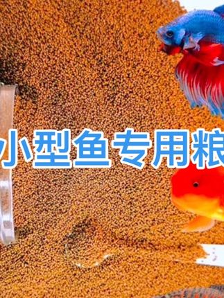 小型鱼专用粮#小型鱼专用粮#在抖音入手的好东西##无限回购的宝藏单品