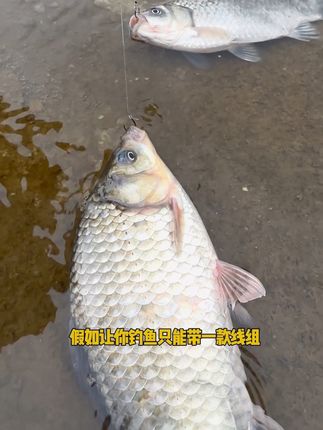 这种日夜两用的免调漂立漂双钩线组,你们有见过吗#户外钓鱼 #野钓 @DOU+上热门 🔥