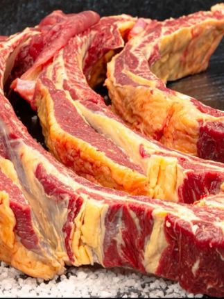 内蒙古锡林郭勒盟草原黄膘大牛排四肋牛排新鲜黄膘牛排产地直发#黄膘大牛排#大牛排