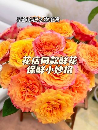 想让夏天的鲜切花多陪自己几天?那你千万别错过我找到的这款“鲜切花救星”——专门解决夏季养花麻烦的养护泡腾片,堪称鲜花的“续命宝贝”,”只要用对它能延长一倍,让夏日养花不再是难题#鲜花养护#爱生活爱养花#鲜花泡腾片#鲜花#网购鲜花养护